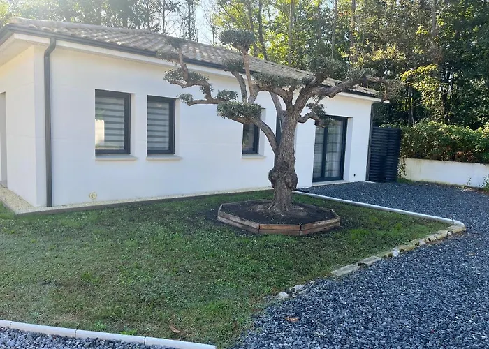 Salles, Maison A 30 Min D\'Arcachon