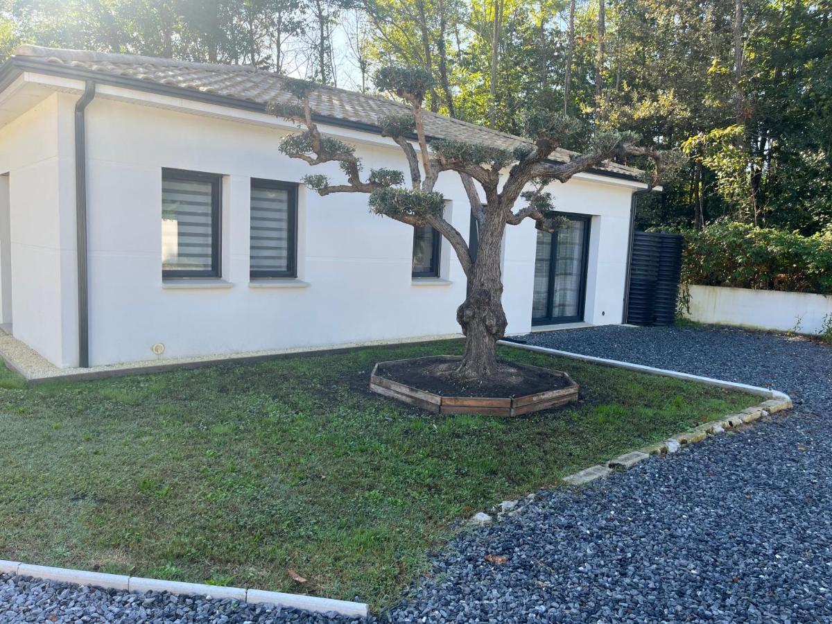 Salles, Maison A 30 Min D'arcachon Holiday home